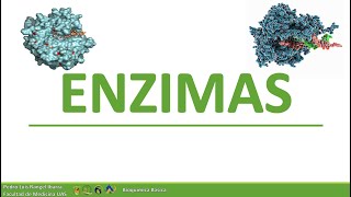 BIOQUIMICA  Asesoria ENZIMAS [upl. by Irreg]