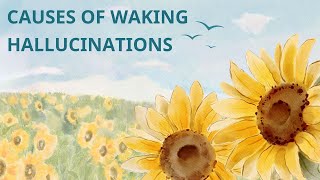 Causes of Waking Hallucinations [upl. by Einrae630]