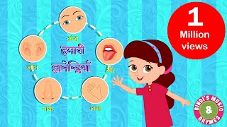 Five Senses Song  Educational Rhymes  Kids Songs  Bindis Music amp Rhymes [upl. by Kurt]