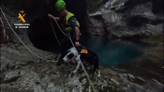 Rescatan a un perro que se había precipitado 30 metros en Fanlo [upl. by Orgel]