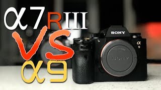 Does the a7Riii make the a9 Obsolete a7Riii vs a9 [upl. by Gena]