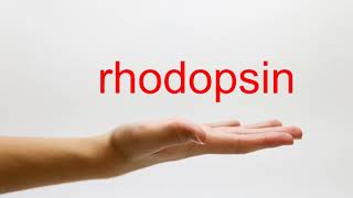 How to Pronounce rhodopsin  American English [upl. by Pudendas]