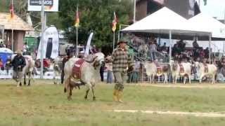 Expointer 2014  Desfile dos grandes campeões [upl. by Gersham]