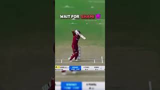 Mohammad shami takes revenge wicket 😈  shorts cricket [upl. by Lleynad]