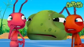 NEW Antiks Episode  Hooked  Funny Cartoons For Kids [upl. by Lenahtan]