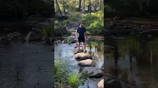 Carnarvon Gorge [upl. by Annunciata970]