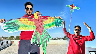 Very Big Size Kite 🪁  तोते🦜वाला पतंग उड़ाया  Makar Sankraanti Vlog [upl. by Elolcin]