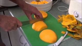 Dehydrating Mangoes [upl. by Meehar353]