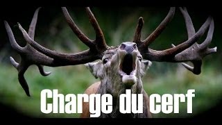 La charge du Cerf  Janvier 2012 [upl. by Leuqcar]