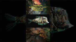 Top 10 Weirdest Fish in the Ocean Depths animals ocean [upl. by Allecsirp]