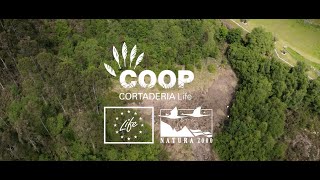 Life Coop Cortaderia Project Video EN [upl. by Eiramit63]