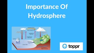 IMPORTANCE OF HYDROSPHERE jhwconcepts711 [upl. by Nanreik]