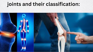 Joints and their Classification  Types of Joints in the Human Body Anatomy [upl. by Neirual435]