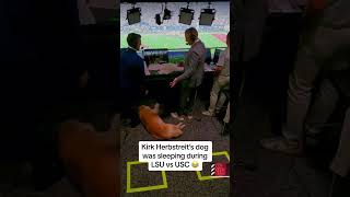 Kirk Herbstreit’s dog was sleeping during LSU vs USC 🤣 via espn [upl. by Nace839]