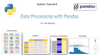 Python Tutorial 9 Data processing read write subset statistics plot with Pandas [upl. by Lawan]