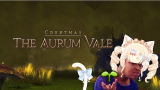 The aurum vale experience in 2024  FFXIV 🌱 [upl. by Nerreg]