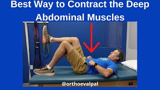 Best Way to Contract the Deep Abdominal Muscles [upl. by Siloa]