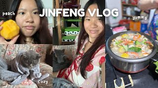 SHORT VLOG of a DAY in CHINA🐰 hotpot food mukbang cat chilling gucci glasses sleeping dog etc [upl. by Emelina]