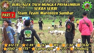 SERBA SERBI AKSI TEAM MARENTEN BURU ALEK TAEH MUNGKA PAYAKUMBUH PART 2 [upl. by Laural]