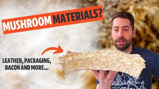 Mycelium Technology What Materials Will Mushrooms Replace [upl. by Darach]