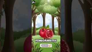 Pomegranate pomegranate education facts easylearning fruit learnaboutfruit knowledge [upl. by Mahoney709]