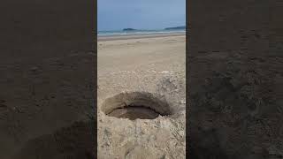 Mistakenly identified as a Meteor Impact Crater on Portmarnock Beach in Dublin Ireland [upl. by Okiruy]