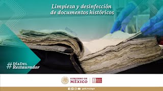 Limpieza profunda y desinfección de documentos históricos en el AGN [upl. by Annyl]