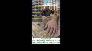 Messerfieber Live Auktionen 7 vs Wild Bushcraft Messer und mehr [upl. by Lieberman720]