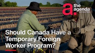 Should Canada Have a Temporary Foreign Worker Program  The Agenda [upl. by Kulseth]