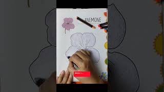 Anemone Flower asmryoutubeshorts art drawing art satisfying [upl. by Maggy]