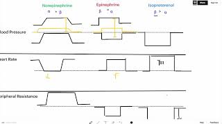 Sympathomimetics Graph Simple Explanation for USMLE I BP HR TPR [upl. by Lenard602]