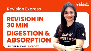 Digestion and Absorption Class 11 Complete Revision in 30 Min  NEET 2022 Biology  Vedantu Enlite [upl. by Akinad]