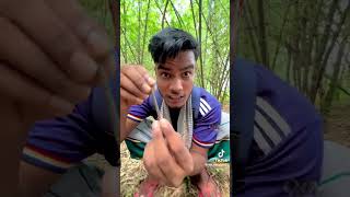 চেগি চগি মিনি আমাজন জঙ্গল ফানি ভিডিও Amazon jungle funny video [upl. by Ontine]