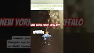 New york 2022 reaction reels [upl. by Carn]