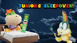 Bowser Juniors sleepover [upl. by Pliner401]