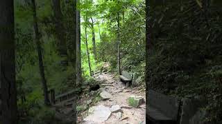 Trail of Mingo Falls Near Cherokee [upl. by Burdett999]