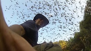 GoPro One Million Bats [upl. by Esilehs]