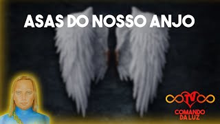 Nossas Asas Angelicais Chakra Umeral [upl. by Arraeit]