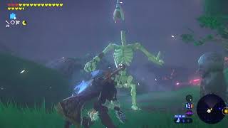 BotW081  Getting To Central Tower Made Easy amp Guardian Killing Made Easy [upl. by Ainolopa882]