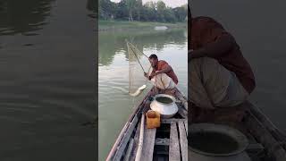 Unique fishing technique  Big Catch fish in river fishing shorts RegularFishing [upl. by Acsicnarf]