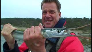 FISH M Fish your dream on Gotland Sweden Fiskedrag S03E08 [upl. by Jerusalem]