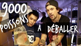 9000 POISSONS DAQUARIUM À DÉBALLER  VLOG TOOPET [upl. by Puiia]