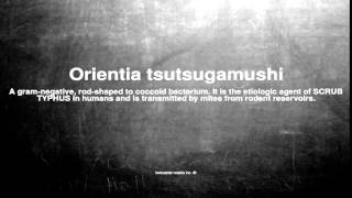 Medical vocabulary What does Orientia tsutsugamushi mean [upl. by Conan]