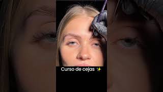 Cejas Perfectas  Laminado y Tinte de Cejas  Tutorial shorts Cejasperfectas cejashd [upl. by Laurita]