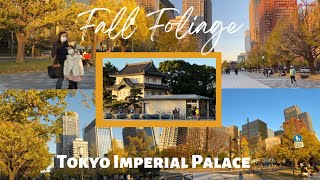 Fall Foliage Around Tokyo Imperial Palace  Autumn Colors  Japan [upl. by Chill473]