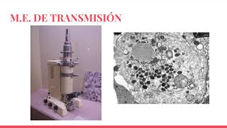 MICROSCOPIO ELECTRÓNICO DE TRANSMISIÓN [upl. by Ocker96]