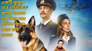 a dog named palma full movie hindi dubbed downloadsubscribe [upl. by Head]