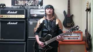 counterfeit Limp Bizkit Cover [upl. by Bottali]