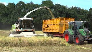 Whole Crop Silage  Claas Jaguar 870  Direct Disc 520  CWV Lievelde  2017 [upl. by Etteloc]