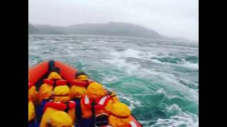 Corryvreckan Whirlpools and upwelling with Seafari Adventures [upl. by Akimaj]